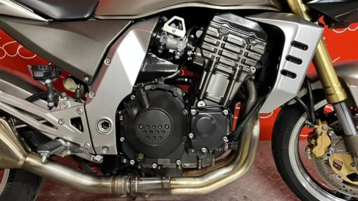 Kawasaki Z 1000 (2003 - 06)  (7)