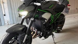 Kawasaki Z 900 Performance (2025 - 26) 