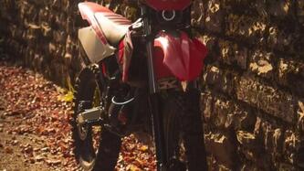 Betamotor RR 50 Enduro (2007 - 09) usata