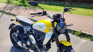 Ducati Scrambler 800 Icon (2023 - 25) 