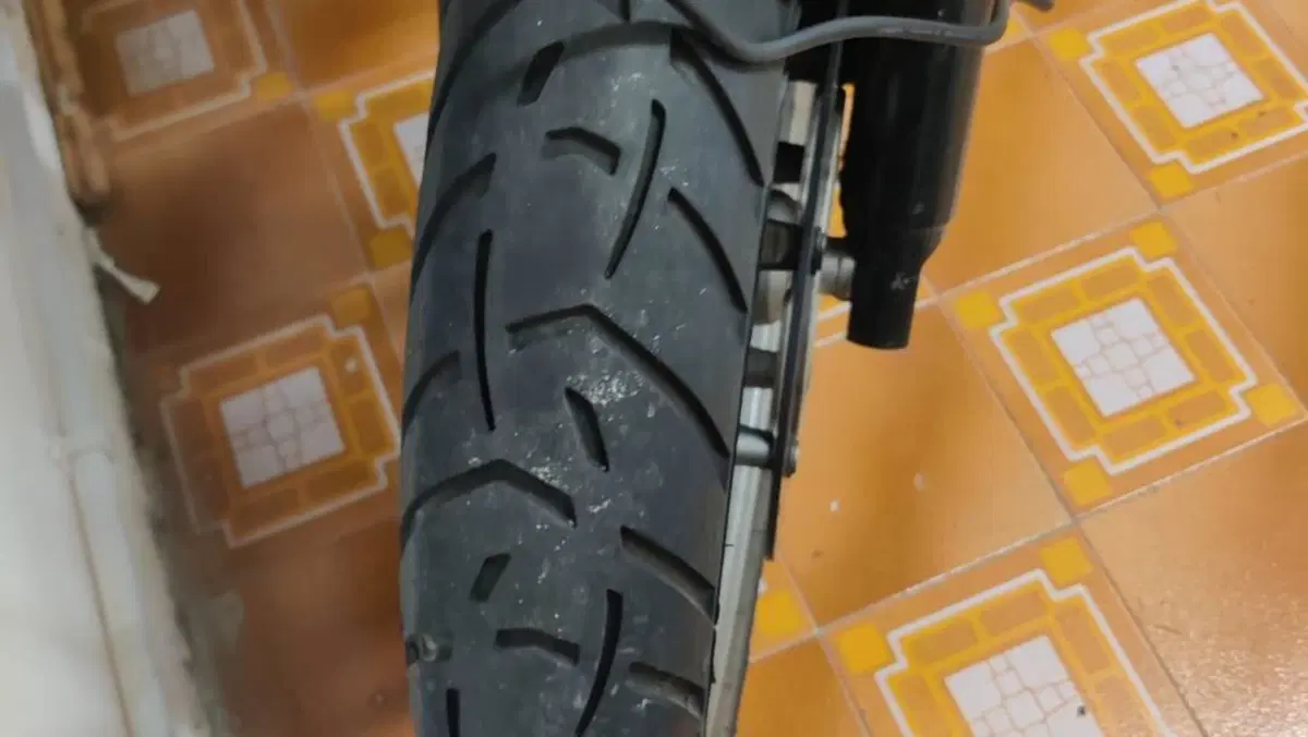 Bmw R 1200 GS (2008 - 09)  (2)