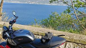 Triumph Trident 660 (2021 - 24) 