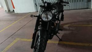 Triumph Scrambler 900 (2023 - 25) 