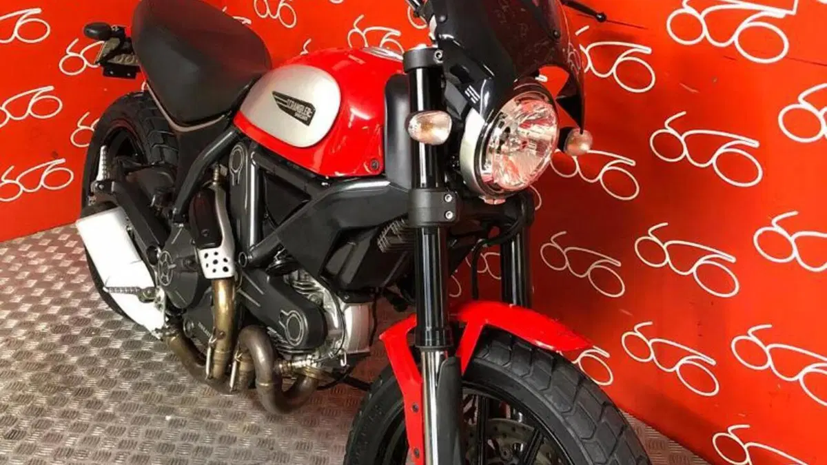 Ducati Scrambler 800 Icon (2015 - 16)  (2)