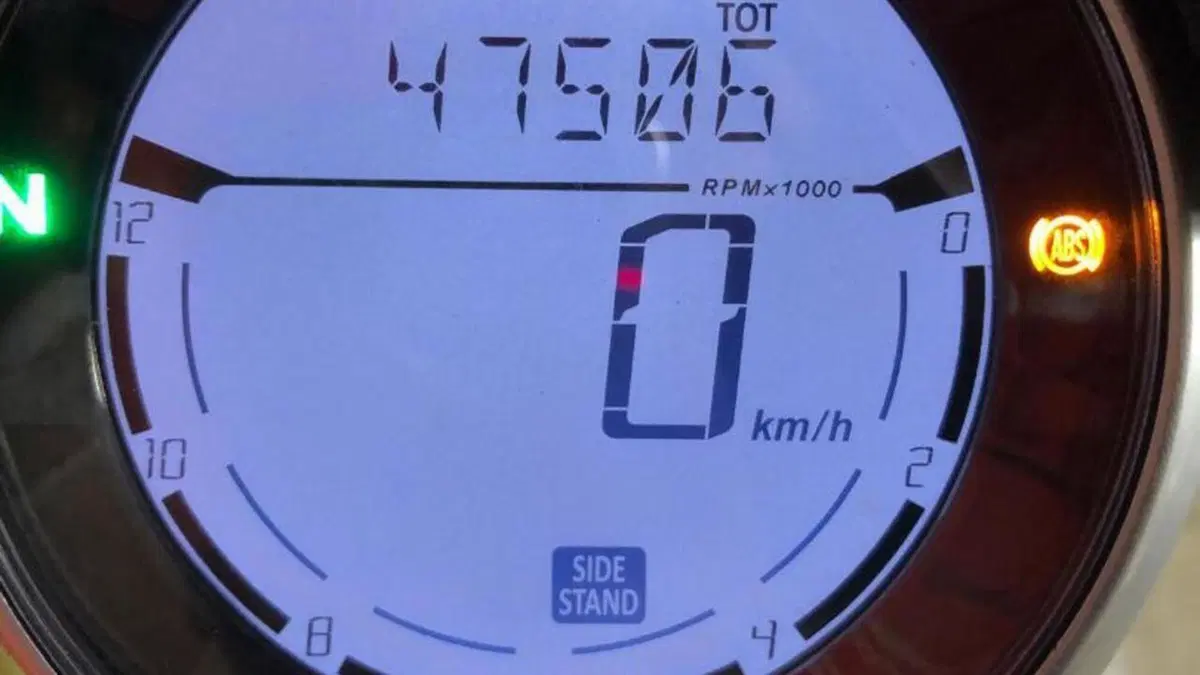 Ducati Scrambler 800 Icon (2015 - 16)  (7)