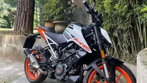 KTM 125 Duke (2024 - 26) 