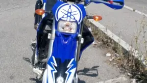 Yamaha WR 250 R (2008 - 13)  (2)
