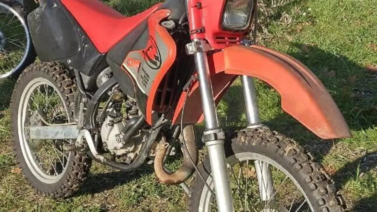 Betamotor  