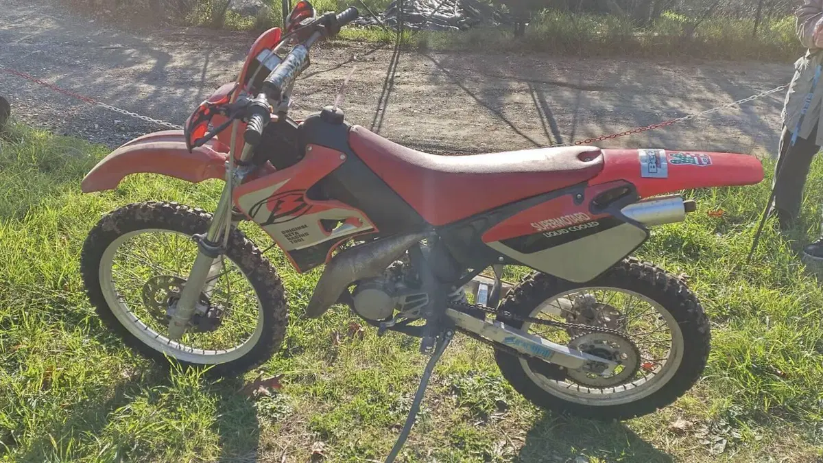 Betamotor   (2)