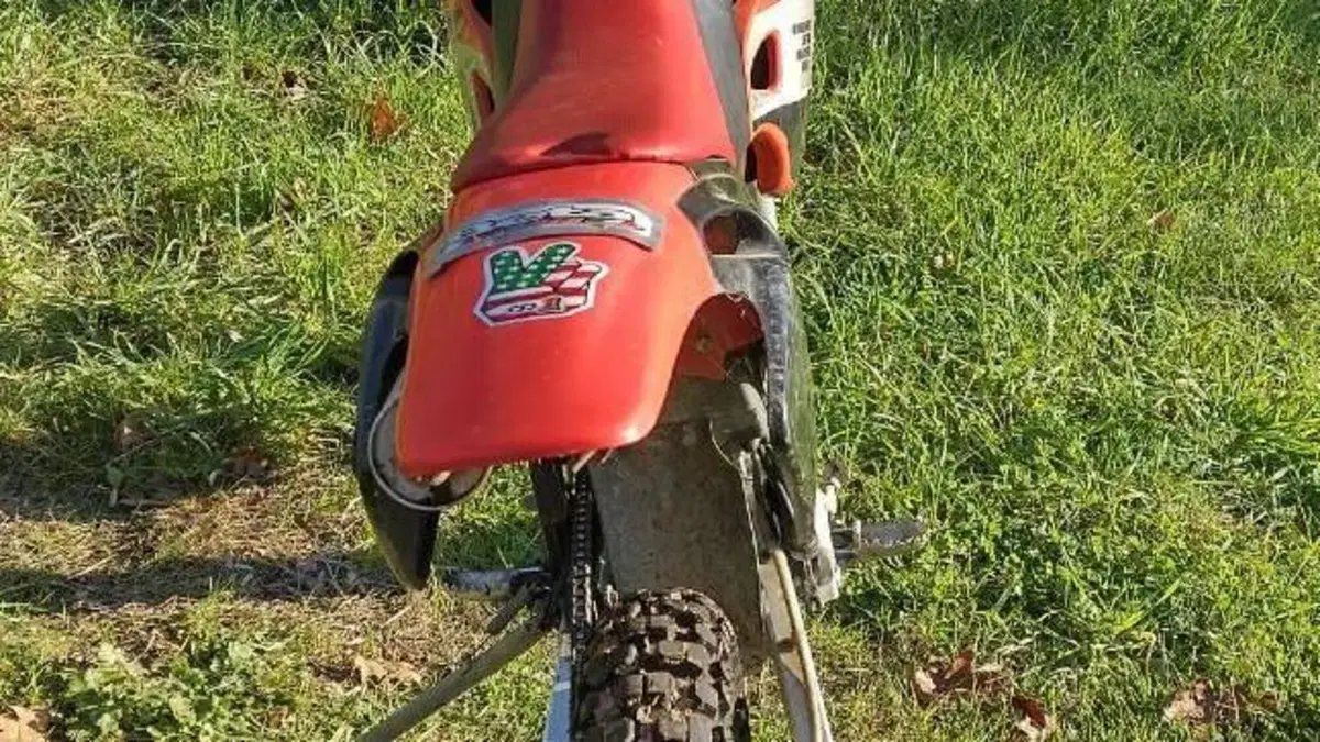 Betamotor   (3)