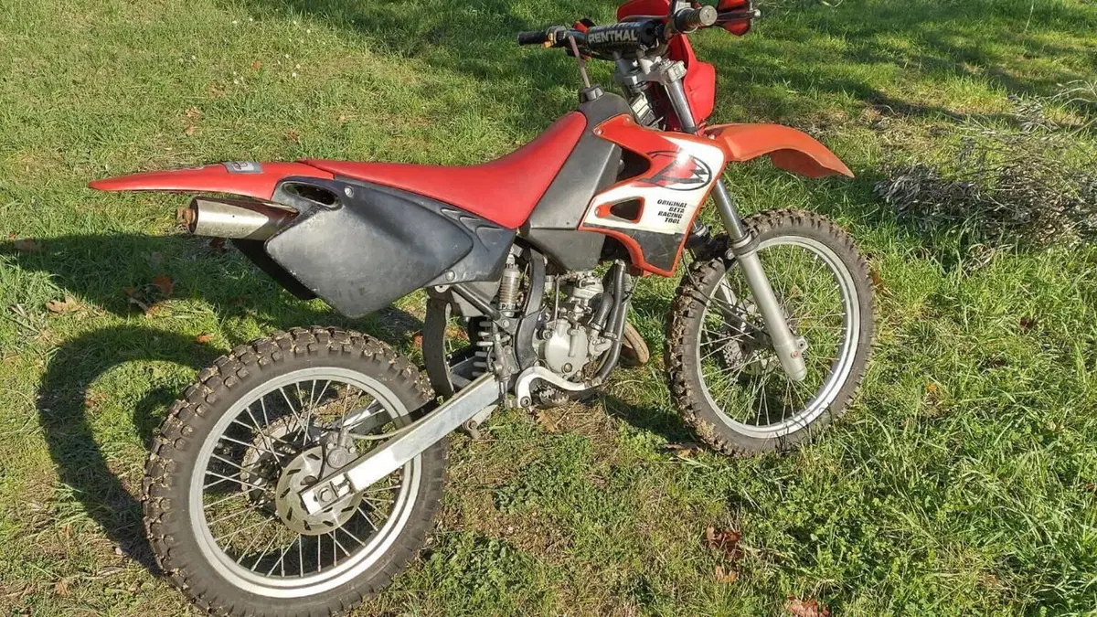 Betamotor   (4)
