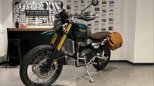 Triumph Scrambler 1200 Steve McQueen Edition (2021 - 22) 