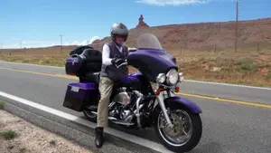 Harley-Davidson 1340 Electra Glide Standard (1995 - 99) - FLHT  (2)