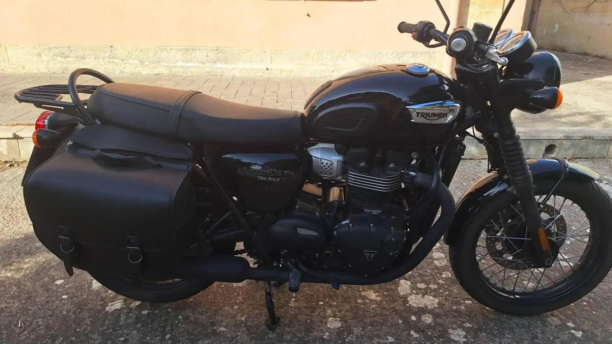Triumph Bonneville T100 Black (2017 - 20)  (2)