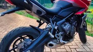 Triumph Tiger Sport 660 (2022 - 24) 
