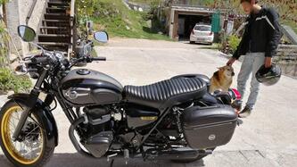 Kawasaki W 800 (2010 - 17) usata