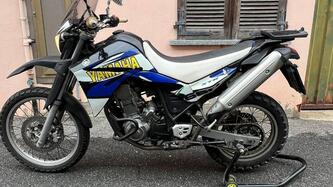 Yamaha XT 660 R (2004 - 16) usata