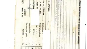Benelli   (11)