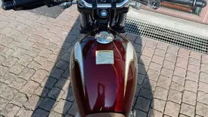 Suzuki TU 250 XX Super Classic (1996 - 00)  (6)