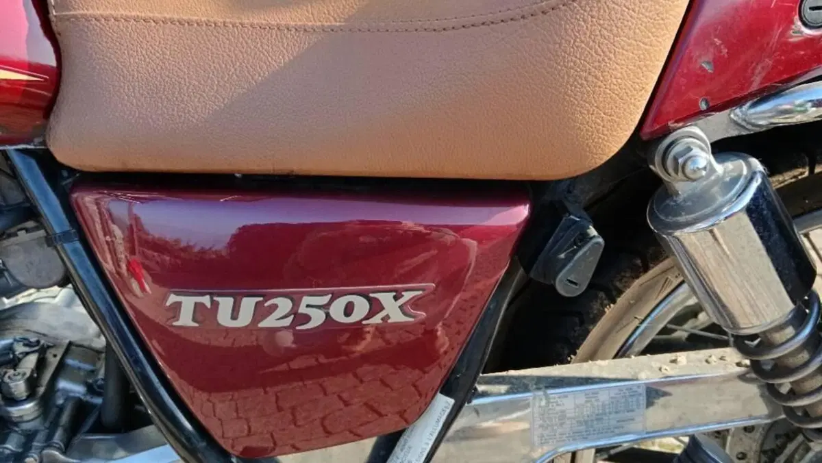 Suzuki TU 250 XX Super Classic (1996 - 00)  (7)