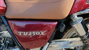 Suzuki TU 250 XX Super Classic (1996 - 00)  (7)