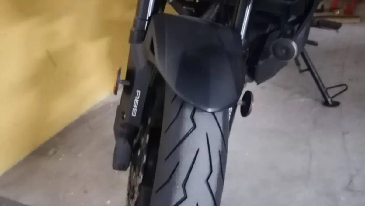 Kawasaki Versys 650 (2017 - 20)  (2)