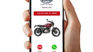 FB Mondial Spartan 250 (2025 - 26)  (3)