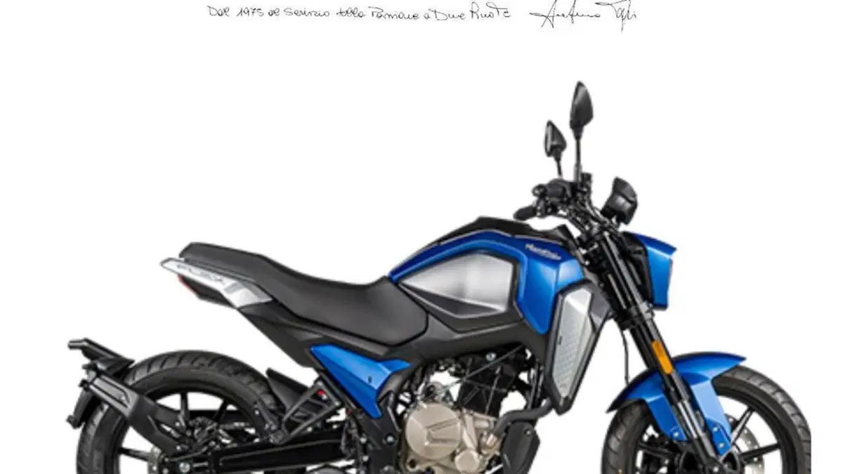 FB Mondial Flex 300 (2024 - 26) 