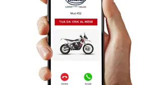 FB Mondial Mud 452 (2025 - 26)  (3)