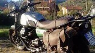 Moto Guzzi V7 850 Stone Special Abs (2021)