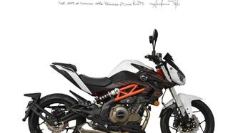 QJ Motor SRK 400 (2023 - 25) nuova