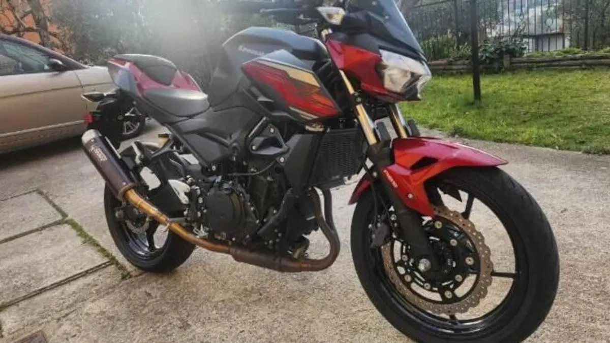 Kawasaki Z 400 (2019 - 20) 