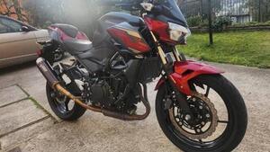 Kawasaki Z 400 (2019 - 20) 