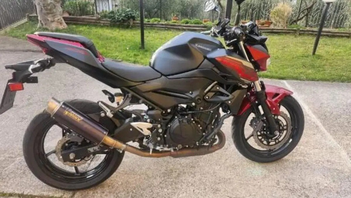 Kawasaki Z 400 (2019 - 20)  (2)