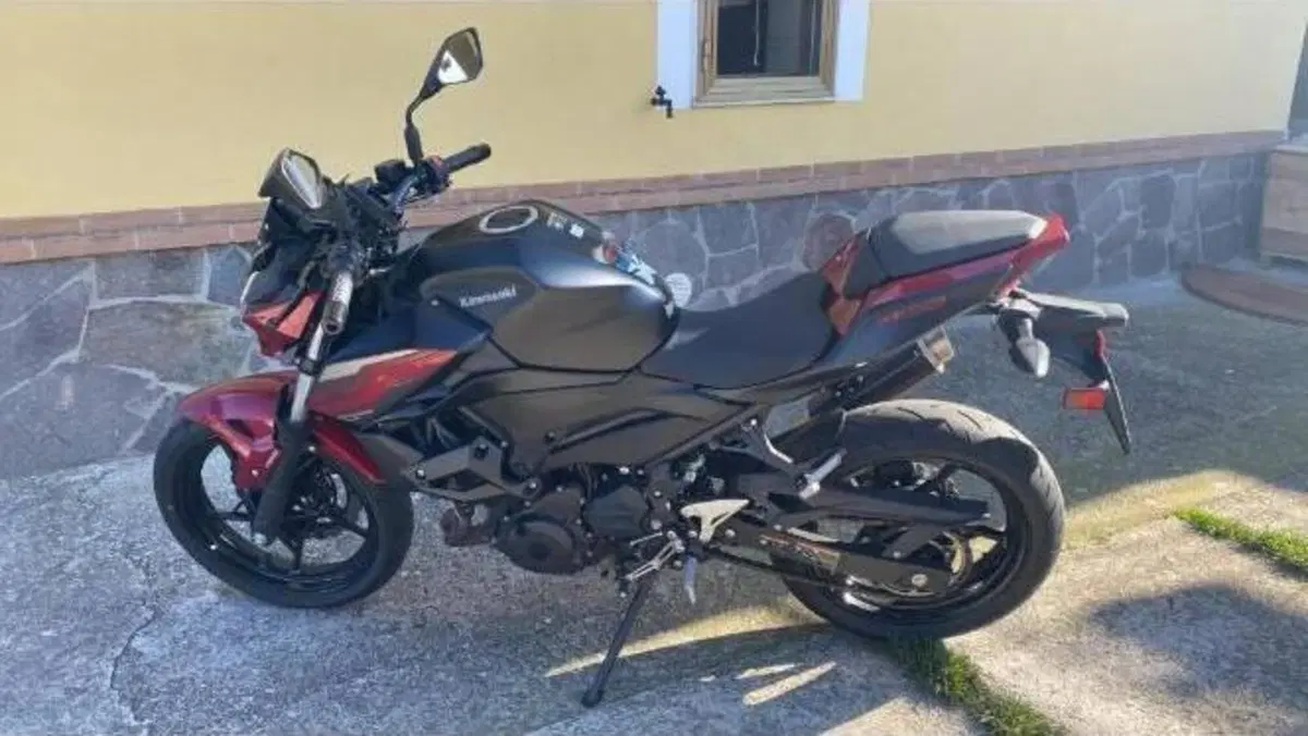 Kawasaki Z 400 (2019 - 20)  (3)