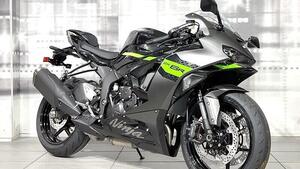 Kawasaki Ninja 125 (2025 - 26) 