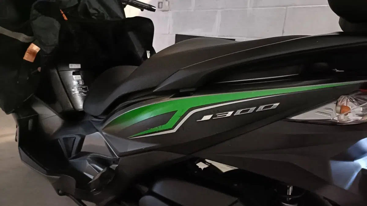 Kawasaki J 300 (2017 - 21)  (4)
