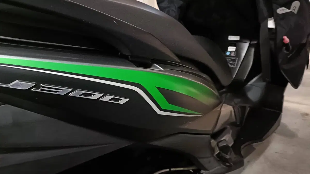 Kawasaki J 300 (2017 - 21)  (5)