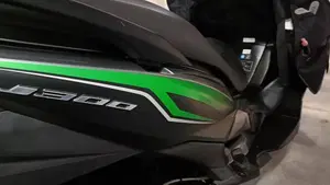 Kawasaki J 300 (2017 - 21)  (5)
