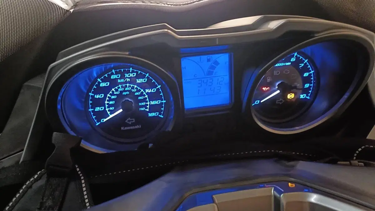 Kawasaki J 300 (2017 - 21)  (8)