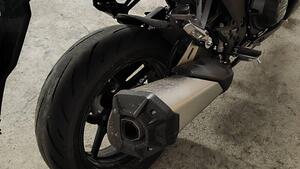 Kawasaki Ninja 1000 SX (2021 - 24) 