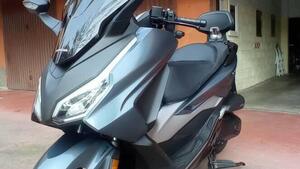 Honda Forza 350 (2022 - 24) 