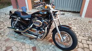 Harley-Davidson 1200 Custom ABS (2014 - 16) - XL 1200C 