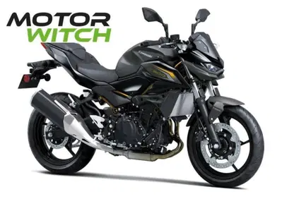 Kawasaki Z 500 (2024 - 26) - Annuncio 9901679