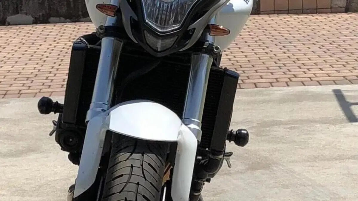 Honda Hornet 600 (2011 - 13) 