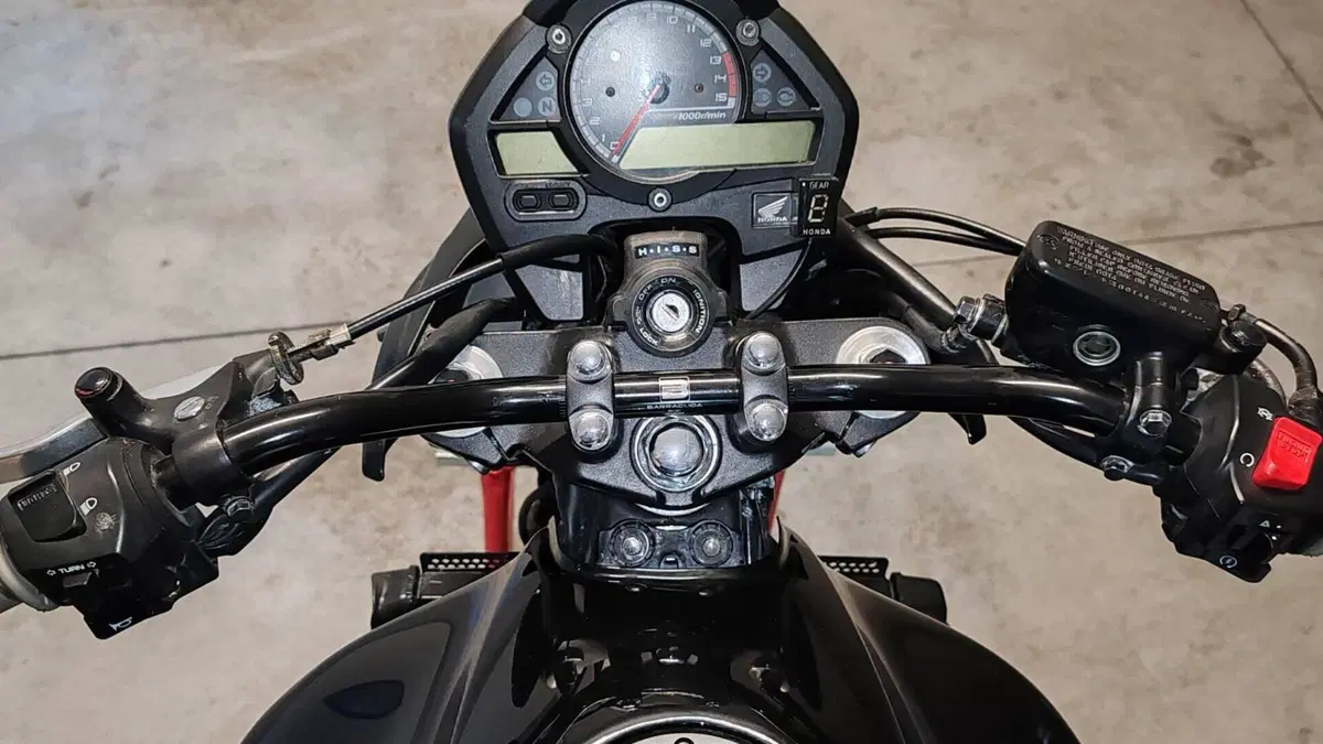 Honda Hornet 600 (2007 - 10)  (5)