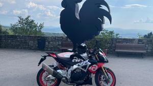 Aprilia Tuono V4 Factory (2015 - 17) 