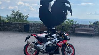 Aprilia Tuono V4 Factory (2015 - 17) usata