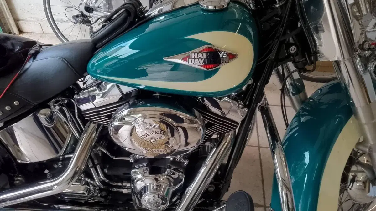 Harley-Davidson 1584 Heritage Classic (2008 - 10) - FLSTC  (2)