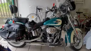 Harley-Davidson 1584 Heritage Classic (2008 - 10) - FLSTC  (3)